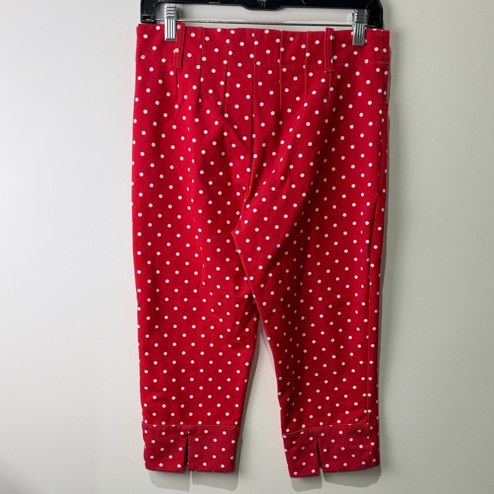 Free People Red and White Polka Dot Garment 10 - Picture 2 of 11